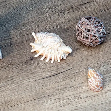 Vincent House 4* Santa Teresa Gallura